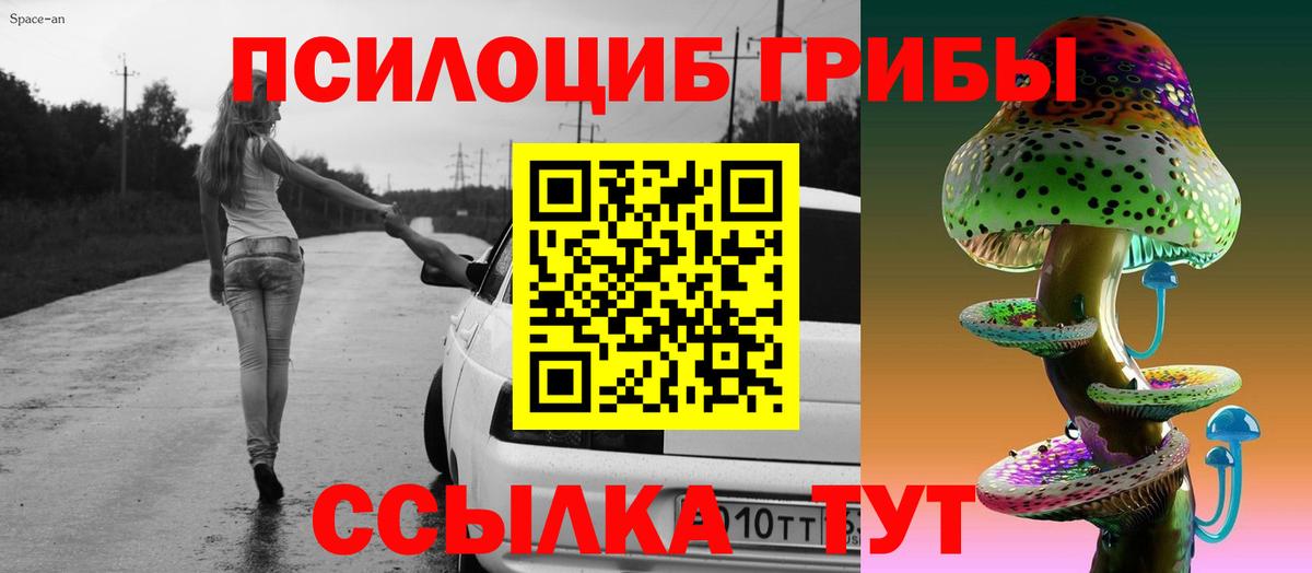 Салехард  Псилоцибиновые грибы мухоморы  Вход с VPN 